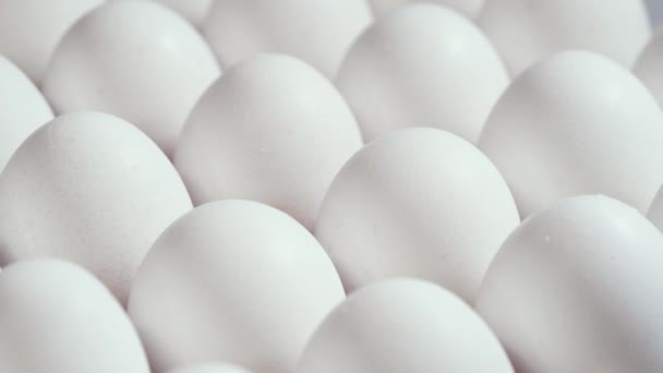 Lotes de ovos crus frescos de frango em uma caixa de papelão, tiro de rotação, ovos crus frescos brancos de frango em um recipiente de ovo — Vídeo de Stock