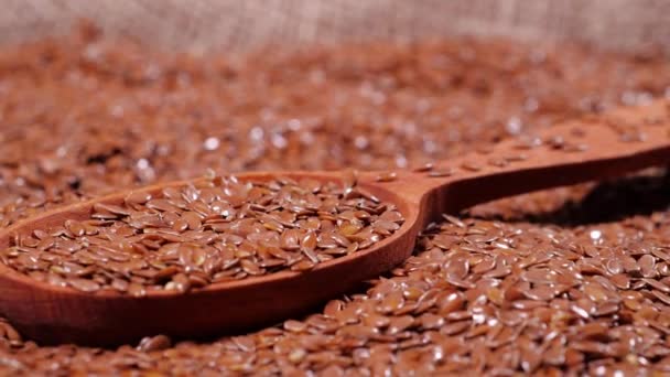 Brown Flax benih dalam tas, gaya hidup sehat, Pertanian, Whole mentah Dried Brown flax Benih, Diet — Stok Video