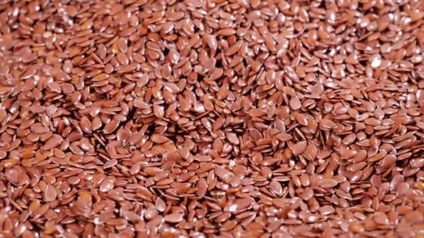 Brown Flax насіння в сумці, здоровий спосіб життя, сільське господарство, Whole raw Dried Brown flax Seeds, Diet — стокове відео