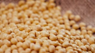 Torbada soya fasulyesi, hazır hamur tohumu maddesi, doğal organik protein ürünü, et yedeği.