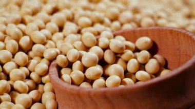 Soya fasulyesi, yüksek lif, üst görünüm doku, ek gıda, protein sağlıklı yiyecek, organik soya fasulyesi, çiğ tohum.