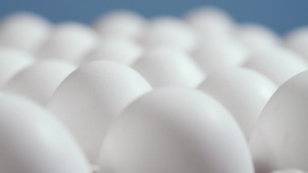 Kyckling ägg i en pappkartong, rotation skott, Kyckling vita färska råa ägg i en äggbehållare — Stockvideo