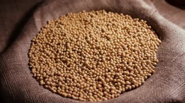 Soya fasulyeli çanta, hazır hamur tohum maddesi, doğal organik protein ürünü, et yerine geçen.