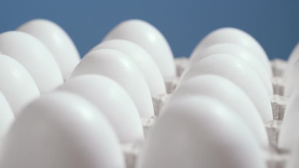 Ovos em uma caixa de papelão, tiro de rotação, ovos crus frescos brancos de frango em um recipiente de ovo — Vídeo de Stock