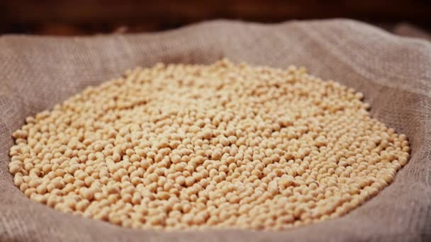 Surowe nasiona soi żywności organicznej góry widok tekstury, Wysoka zawartość błonnika, Pomaga zapobiec rakowi, żywności uzupełniającej, Białko zdrowej żywności — Wideo stockowe