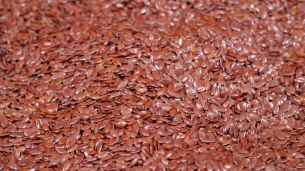 采购产品棕色亚麻籽在袋子里，健康的生活方式，农业，整个生的，干的，褐色亚麻籽，饮食 — 图库视频影像