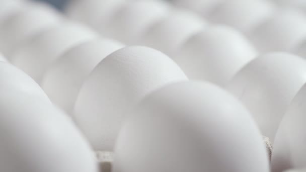 Ovos em uma caixa de papelão, tiro de rotação, ovos crus frescos brancos de frango em um recipiente de ovo — Vídeo de Stock