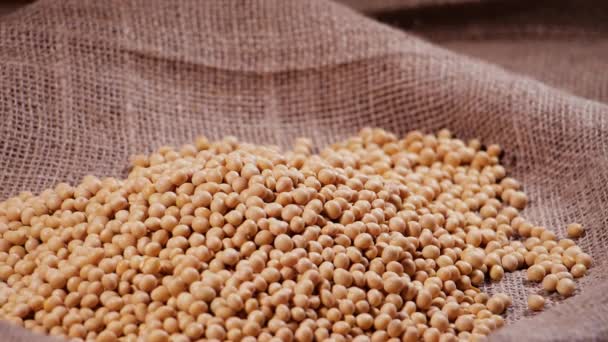 Soja, alta en fibra, textura de vista superior, alimentos complementarios, alimentos saludables para proteínas, soja orgánica, semillas crudas — Vídeo de stock
