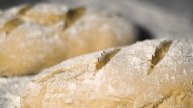 Fırında taze baget ekmeği. Ekmek ve eko üretimi. Üretim süreci çok sıkı çalışıyor. Pastane ve rooty satışı. Fırında İtalyan biyo-ekmeği pişirmek. Yemek pişirme görüntülerini hızlandırın.