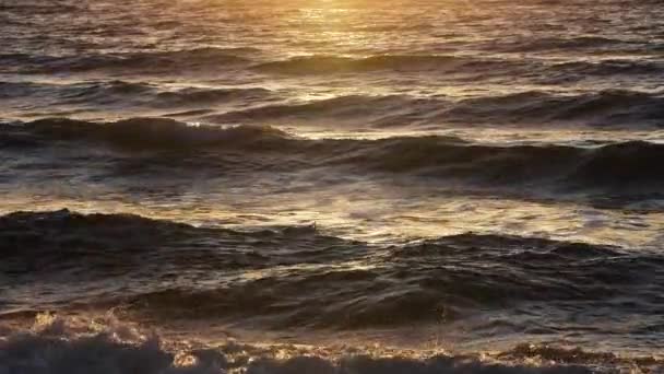 Stormachtige zee bij zonsondergang, natuurlijke dramatische zeegezicht. Zonsondergang of zonsopkomst zon schijnt door gouden golven, oceaan en zee Slow motion 4k — Stockvideo