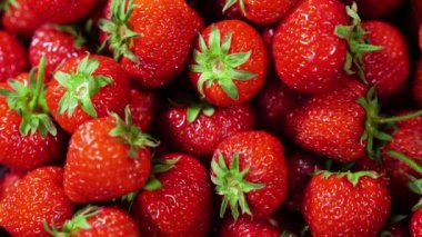 Çilek. Kırmızı Sulu Olgun Çilekler, Yakın plan, Lezzetli Yaz Meyveleri. Taze Hasat Çilekleri 'nin geçmişi. Sağlıklı Doğal Vegan Gıda Konsepti