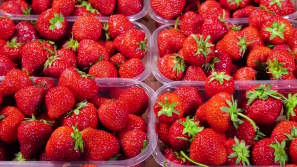 草莓在市场上的一个盒子里，特写，红果汁成熟美味，夏季浆果。新鲜收获草莓的背景。健康天然食品的概念 — 图库视频影像