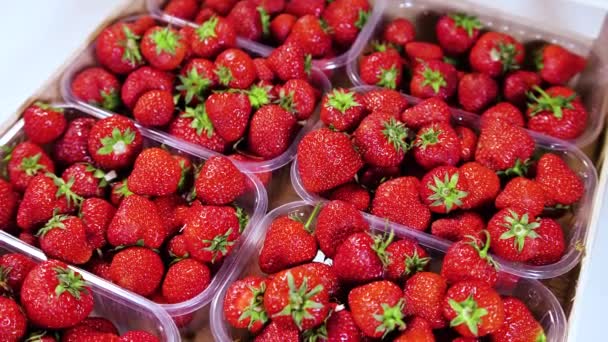 Strawberries in a box on the market, Close-up, Red Juicy Ripe Delicious, Summer Berries. Background of Fresh Harvest Strawberries. Concept Of Healthy Natural Vegan Food — Stock Video