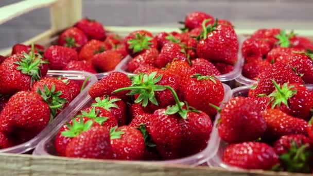 Erdbeeren in einer Schachtel auf dem Markt, Nahaufnahme, Red Juicy Ripe Delicious, Sommerbeeren — Stockvideo