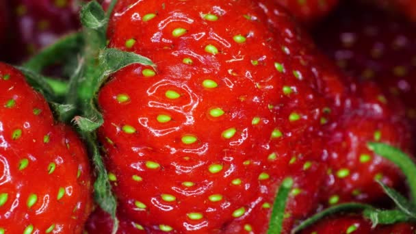 Erdbeeren aus nächster Nähe, Red Juicy Ripe Delicious, Sommerbeeren. Hintergrund der frischen Erdbeeren. Konzept einer gesunden, natürlichen veganen Ernährung — Stockvideo