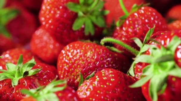 Strawberries, Red Juicy Ripe Strawberries, Close-up, Delicious Summer Berries. Background of Fresh Harvest Strawberries. Concept Of Healthy Natural Vegan Food — Stock Video