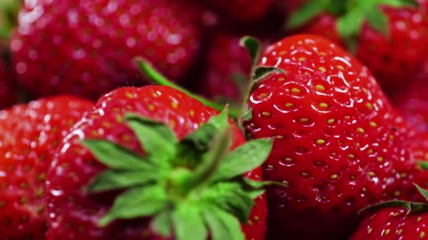 Erdbeeren, rote saftige reife Erdbeeren, Nahaufnahme, köstliche Sommerbeeren. Hintergrund der frischen Erdbeeren. Konzept einer gesunden, natürlichen veganen Ernährung — Stockvideo