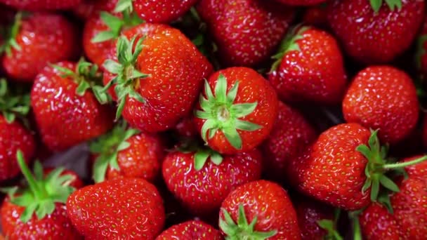 Erdbeeren, rote saftige reife Beeren, Nahaufnahme. Summer Delicious. Hintergrund der frischen Erdbeeren. Konzept einer gesunden, natürlichen veganen Ernährung — Stockvideo