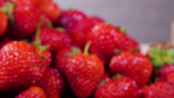 Fresas. Fresas maduras jugosas rojas, primer plano, bayas deliciosas del verano. Antecedentes de Fresas Frescas Cosecha. Concepto de Alimento Vegano Natural Saludable — Vídeo de stock