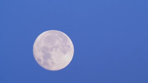 Luna llena en el cielo nocturno. Concepto místico 4K, lapso de tiempo de luz de la luna. Nubes y luna, hermoso fondo espeluznante nocturno — Vídeos de Stock