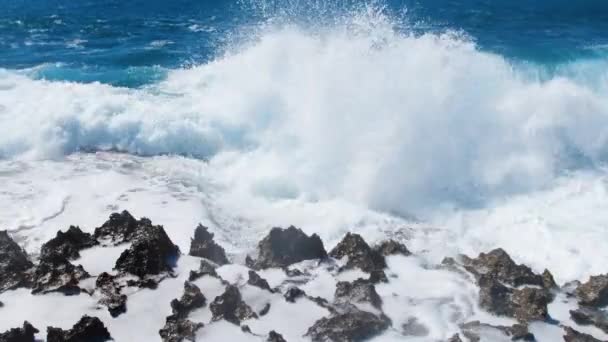 Κύματα που σπάζουν πάνω από επικίνδυνους βράχους, θαλάσσια καταιγίδα έννοια, Ηλιόλουστη μέρα θαλασσογραφία, Καταστροφική και θεαματική, κύματα ωκεανού συντριβή στα βράχια της ακτής δημιουργώντας μια έκρηξη του νερού, 4k — Αρχείο Βίντεο