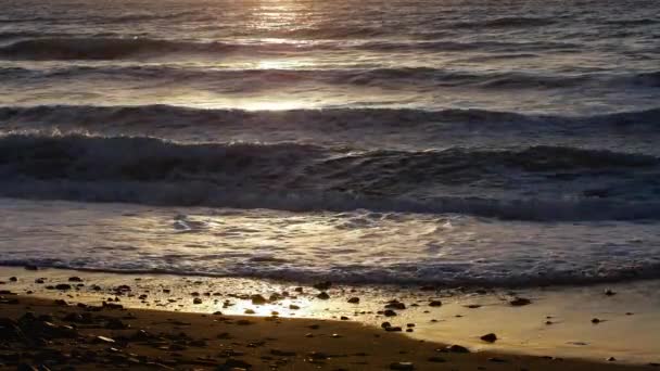 Sunset 'te fırtınalı deniz, doğal dramatik deniz manzarası. Gün batımı ya da güneşin doğuşu altın dalgalar arasında parlıyor — Stok video