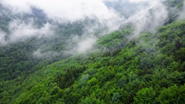 Nuvole sopra la foresta di montagna, Volare attraverso la foresta magica estiva con tempo piovoso, drone vista aerea 4k — Video Stock