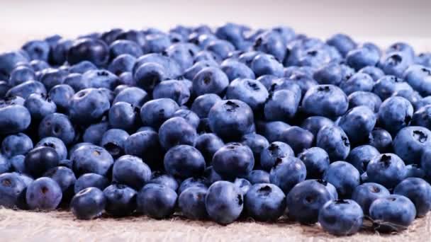 Blueberry, Beautiful Berbagai warna berry close-up, Juicy Ripe Summer berry. Bio Fruits, Concept of Healthy eating, Vegan food, diet. Video 4K UHD — Stok Video