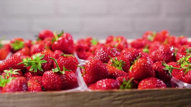 Erdbeeren. Rote saftige reife Erdbeeren, Nahaufnahme, köstliche Sommerbeeren. Hintergrund der frischen Erdbeeren. Konzept einer gesunden, natürlichen veganen Ernährung — Stockvideo