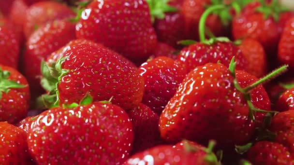 Strawberries. Red Juicy Ripe Strawberries, Close-up, Delicious Summer Berries. Background of Fresh Harvest Strawberries. Concept Of Healthy Natural Vegan Food — Stock Video