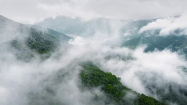 Вид с воздуха на туманный лес, облака над горой. Снимок беспилотника, пролетающего над еловыми хвойными верхушками деревьев, видео с природой в 4К — стоковое видео