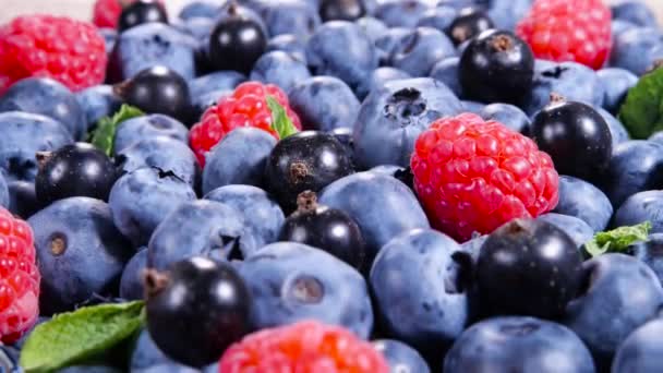 Беррі, барвисте тло, соковиті молочні ягоди. М'ята листя, Raspberry, Blueberry закритий склад, Bio Fruits, здорова їжа, веганська їжа, дієта. 4K UHD video — стокове відео