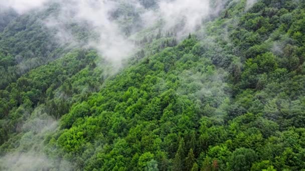 Nuvens acima da floresta montanhosa, voando pela floresta mágica de verão em tempo chuvoso, drone de visão aérea 4k — Vídeo de Stock