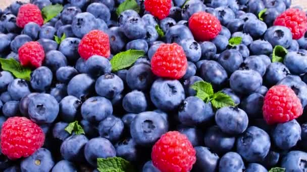 Frambuesa, arándano y menta deja un primer plano. Bayas, Varios fondo colorido, bayas de verano maduras jugosas. — Vídeos de Stock