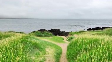 Sarı Kum Sahili ve Çimen Tepeli Gerçeküstü Sahil Manzarası. Yüksek kalite 4k görüntü