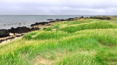 Sarı Kum Sahili ve Çimen Tepeli Gerçeküstü Sahil Manzarası. Yüksek kalite 4k görüntü
