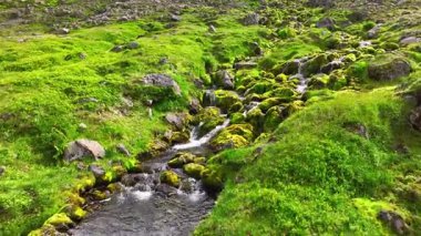 Dağ deresindeki kayaların üzerinden akan su. Dağ deresindeki kayaların üzerinden akan sular kıyılar boyunca yemyeşil çimlerle çevrilidir. Sahne doğanın güzelliğini yakalar. Yüksek kalite 4k görüntü