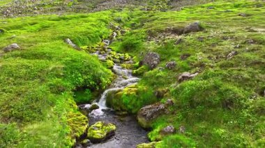 Dağ deresindeki kayaların üzerinden akan su. Dağ deresindeki kayaların üzerinden akan sular kıyılar boyunca yemyeşil çimlerle çevrilidir. Sahne doğanın güzelliğini yakalar. Yüksek kalite 4k görüntü