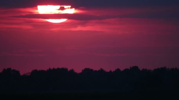 Puesta de sol roja sobre los árboles — Vídeos de Stock