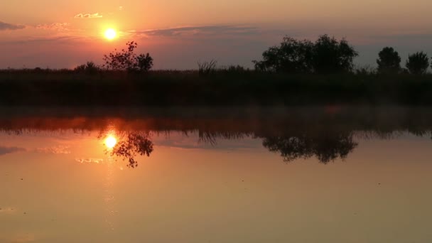 Восход солнца над рекой с туманом — стоковое видео