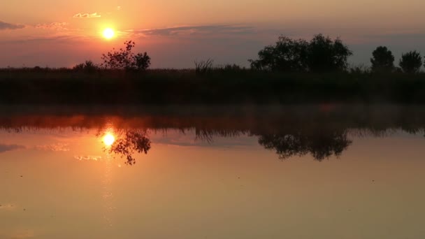 Zonsopgang boven de rivier met Mist — Stockvideo