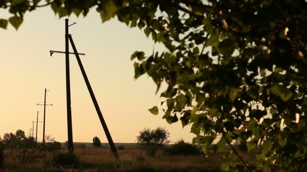 La naturaleza en el fondo de los pilares abandonados — Vídeo de stock