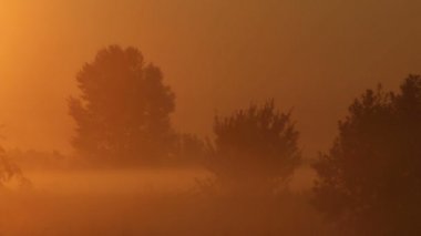 sabah sis Nehri üzerinde