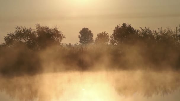 Morgondimma på floden — Stockvideo