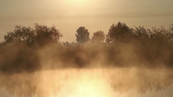 Ochtendnevel op de rivier — Stockvideo