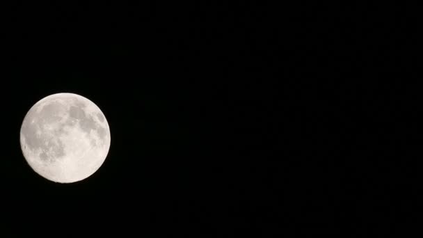 空に大きな月 — ストック動画
