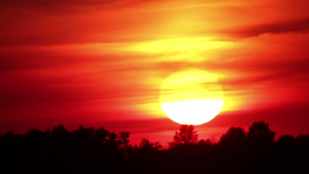 Rode zonsondergang met bos — Stockvideo