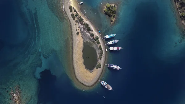 Bıçak bileme detay 