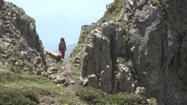 Backpacker doğada Hiking — Stok video