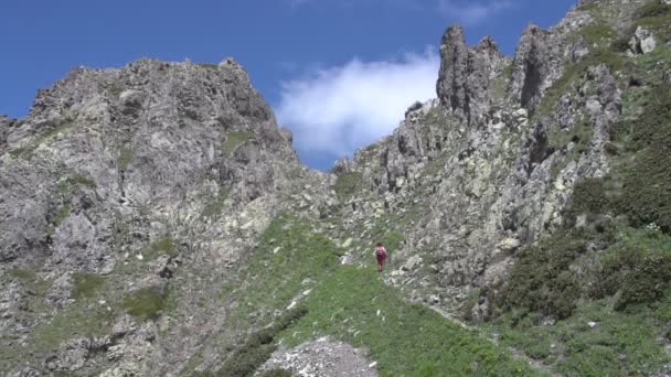 Backpacker doğada Hiking — Stok video